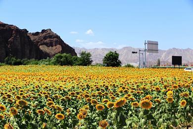 《忍者龙剑传4》新视频 强力武器将敌人砸成肉末