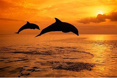 拉瑞安搞定《博德之门3》之后 会开发《神界》新作