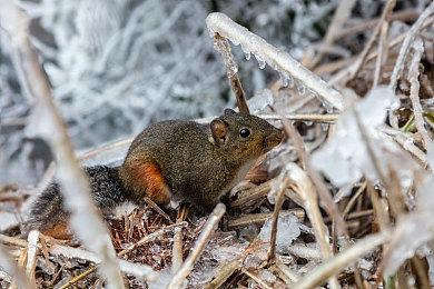《漫威争锋》全球玩家突破2000万，冬日庆典活动即将上线！